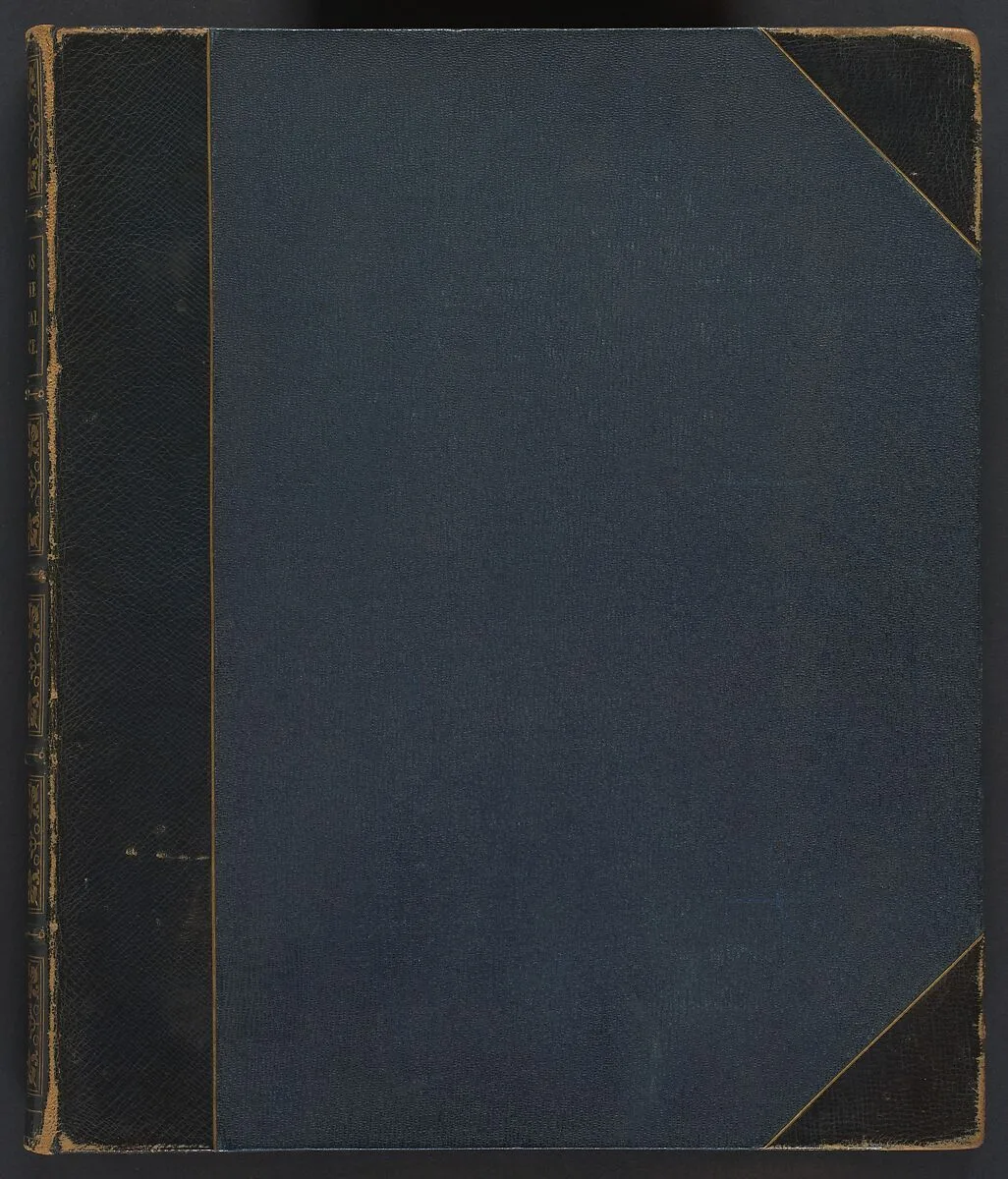 Views of the Crystal Palace — Philip Henry Delamotte