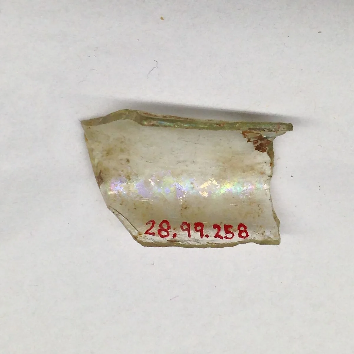Fragment — Unknown