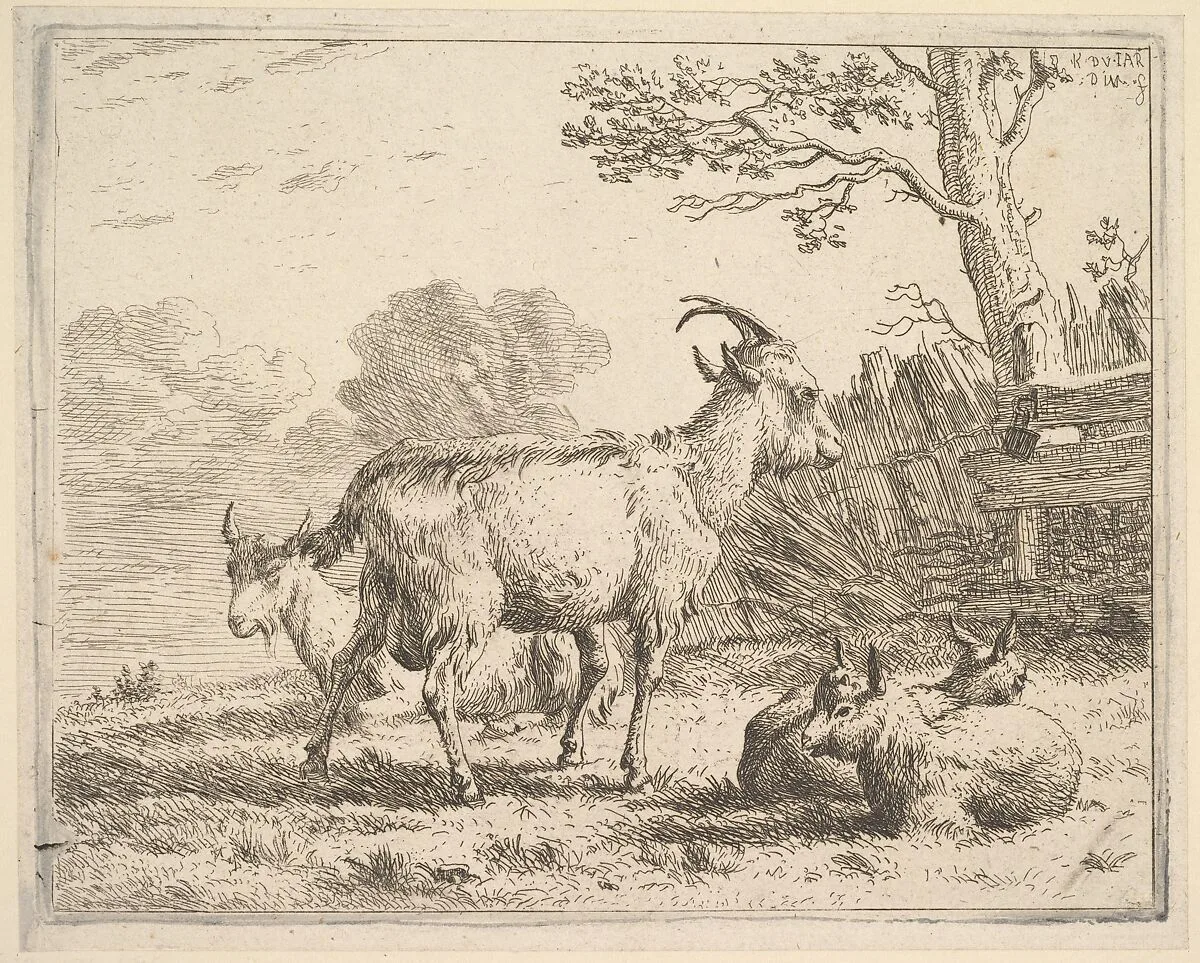 Four goats; at the back a nanny goat lies on the ground, in the middle a billy goat stands, in the front two kids lie on the ground, a fence and tree beyond — Karel Dujardin
