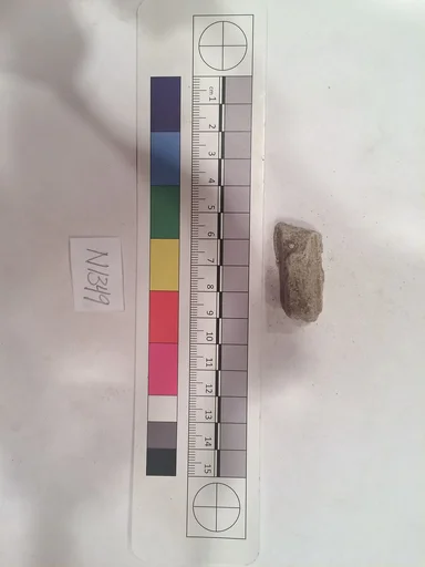 Stucco Fragment