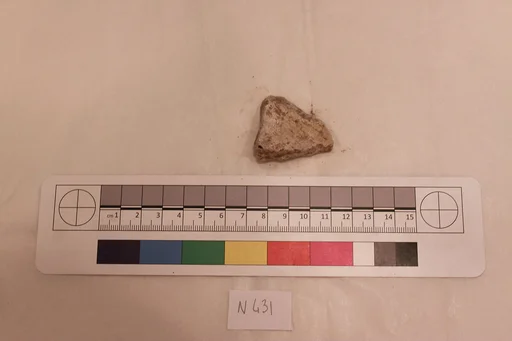 Stucco Fragment