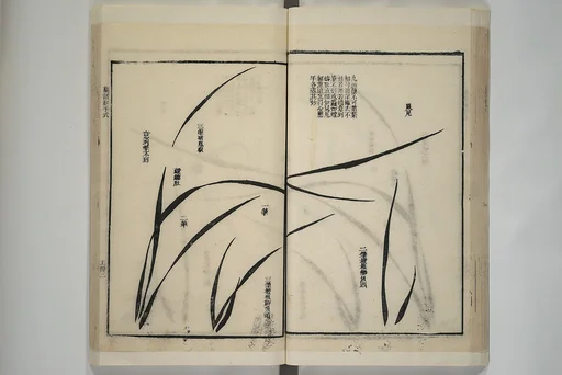 芥子園畫傳|Part 2 from The Mustard Seed Garden Painting Manual (3rd Chinese edition) 芥子園畫傳