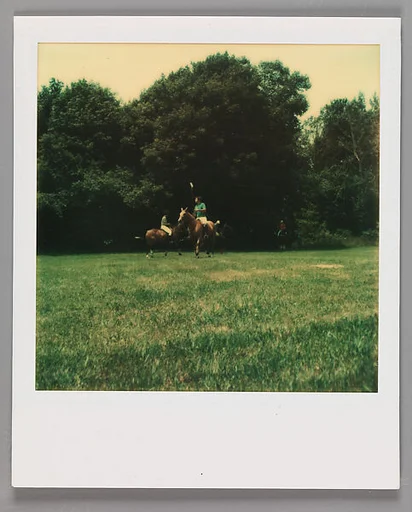 [Polo Match]