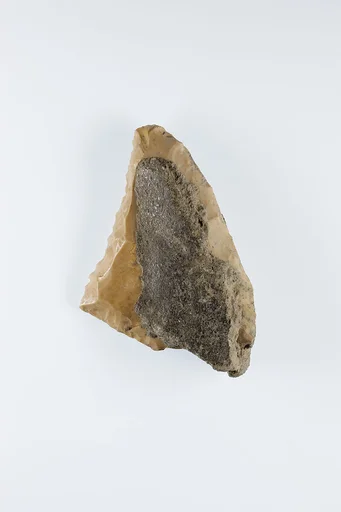 Sickle Insert
