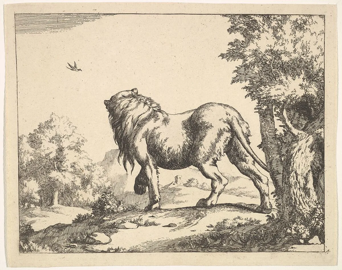 The Lions (one of eight plates) — Paulus Potter|Marcus de Bye|Nicolas Visscher I
