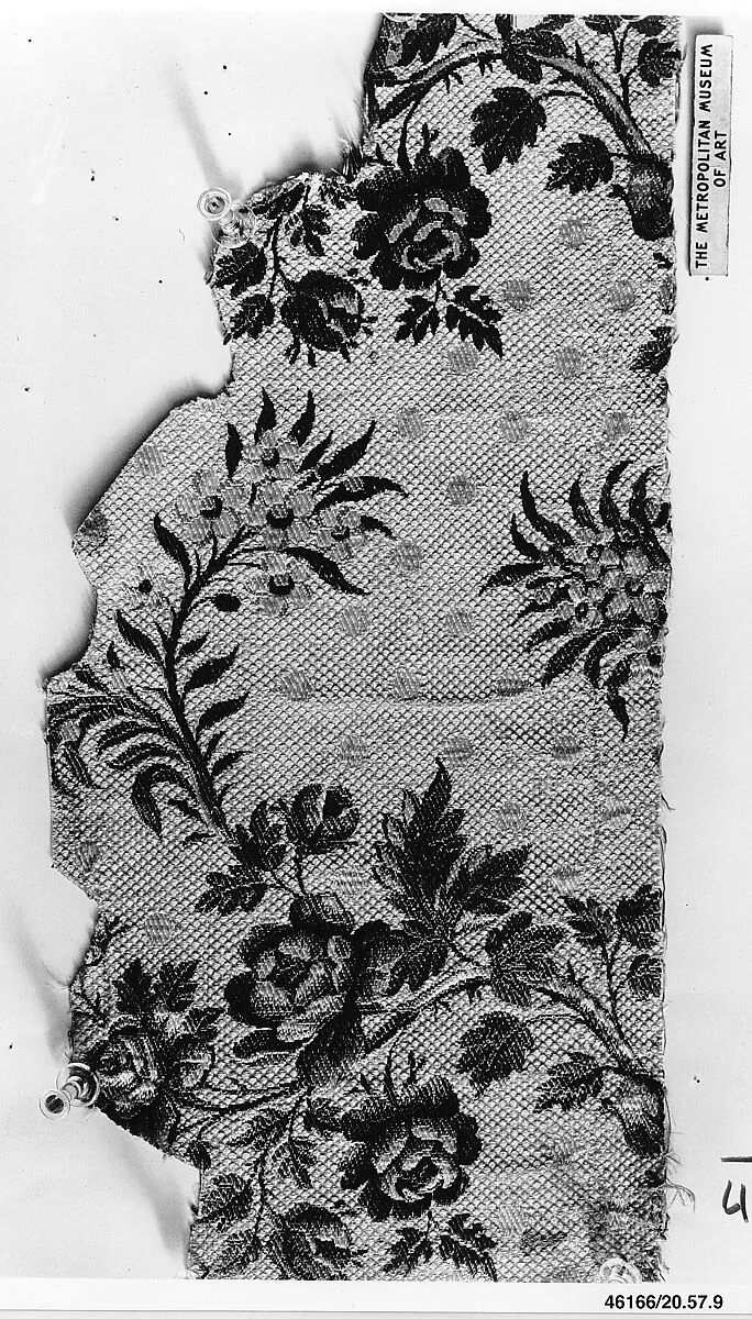 Fragment — Unknown