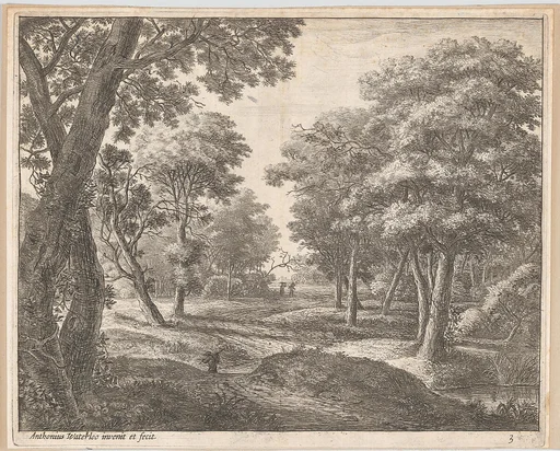 A Path Through the Woods