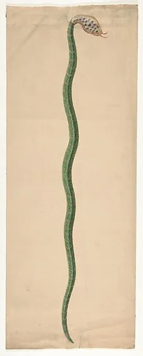 Design for a snake from the Workshop of Froment-Meurice