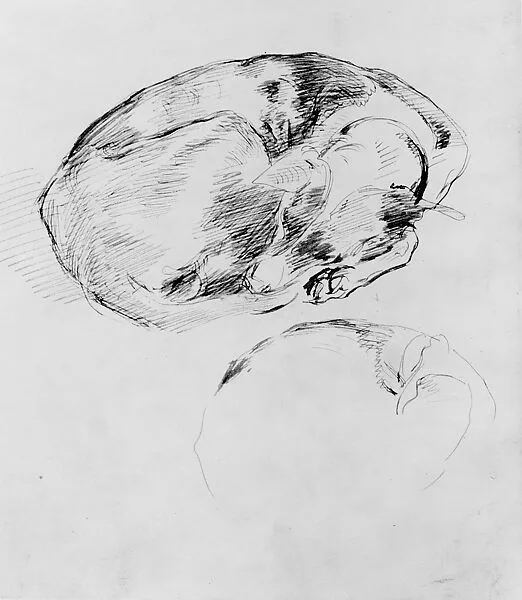 Dog — John Singer Sargent