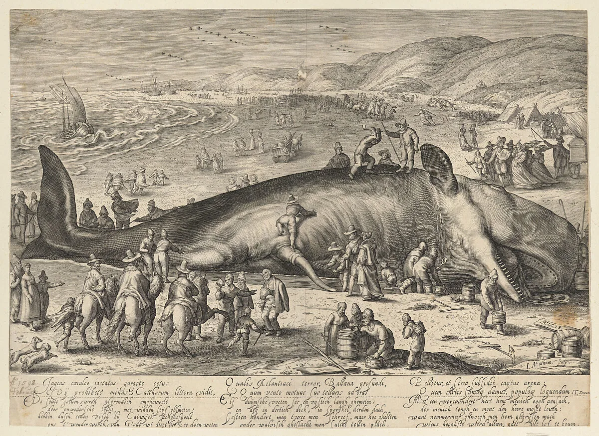Beached Whale — Jacob Matham