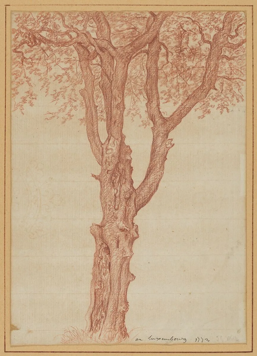 Study of a Tree in the Luxembourg Gardens — Pierre Henri de Valenciennes