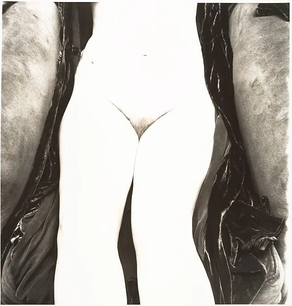 Nude No. 118 — Irving Penn