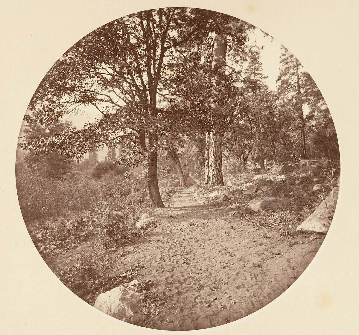 In the Yosemite Valley — Carleton E. Watkins