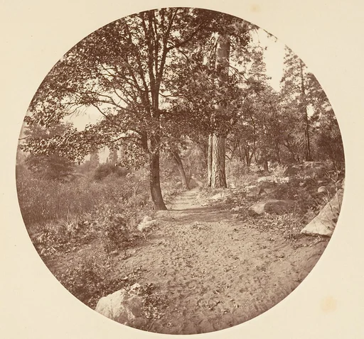 In the Yosemite Valley