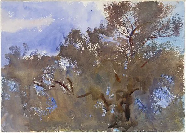 Treetops against Sky — John Singer Sargent