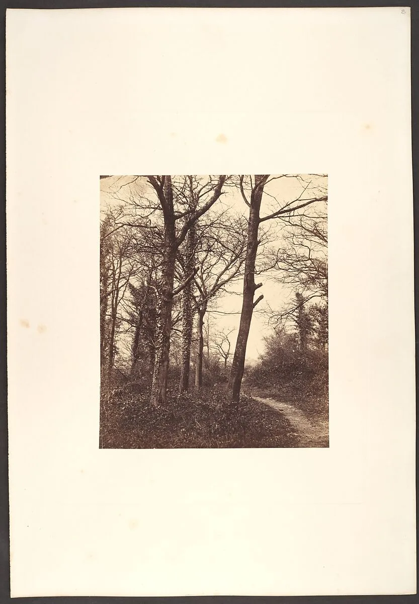 Winter — Charles Conway