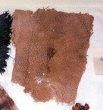Textile fragment — Unknown