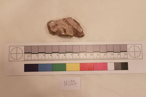 Stucco Fragment