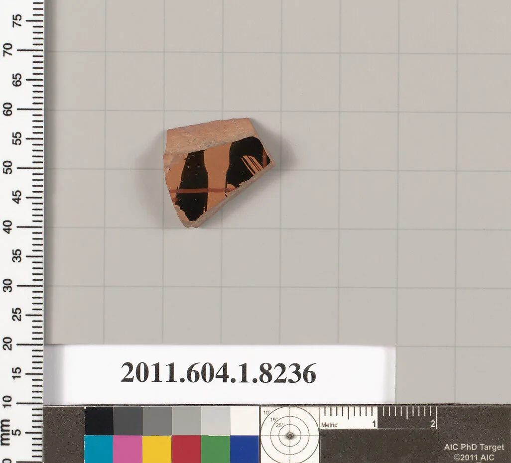 Terracotta fragment of a kylix (drinking cup) — Unknown