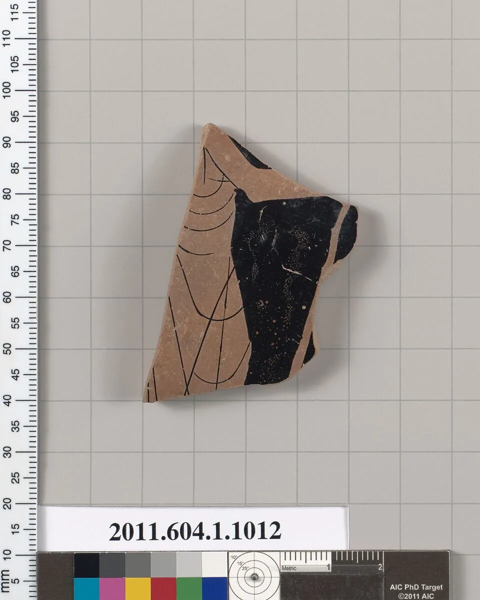 Terracotta fragment of a kylix (drinking cup) — Unknown