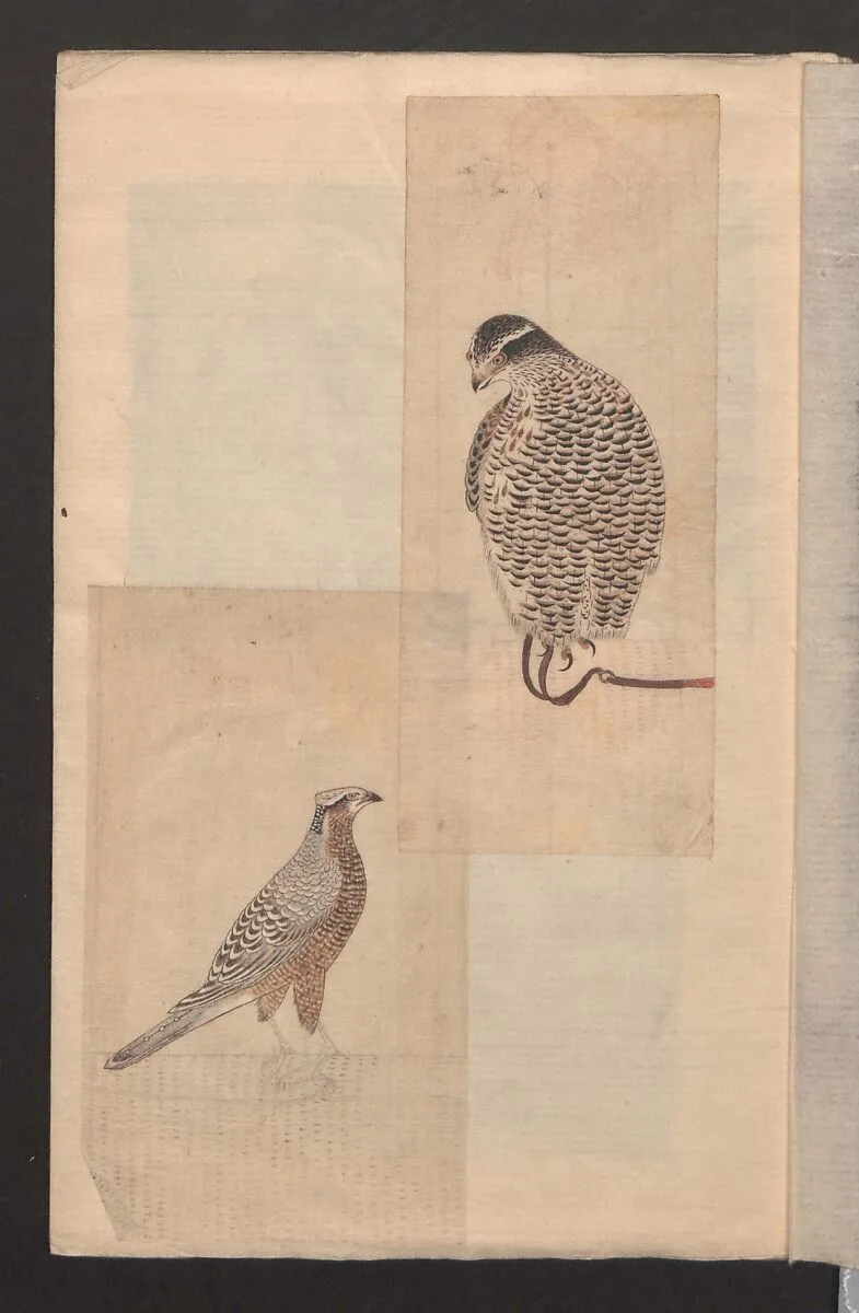 Untitled — Unidentified artist