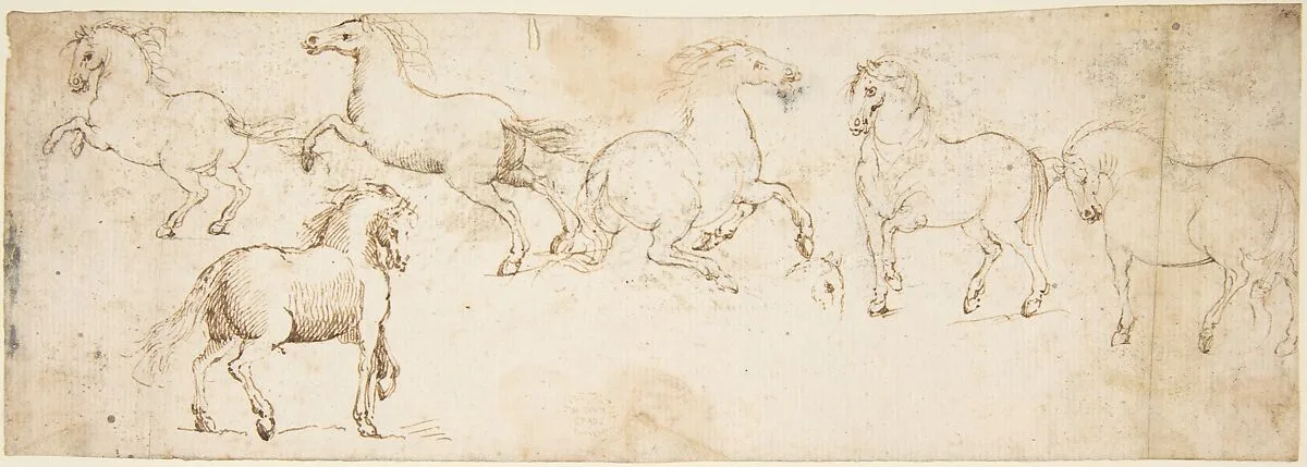 Horses — Francesco Allegrini