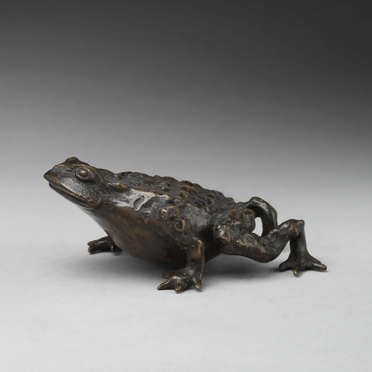 Toad — Unknown
