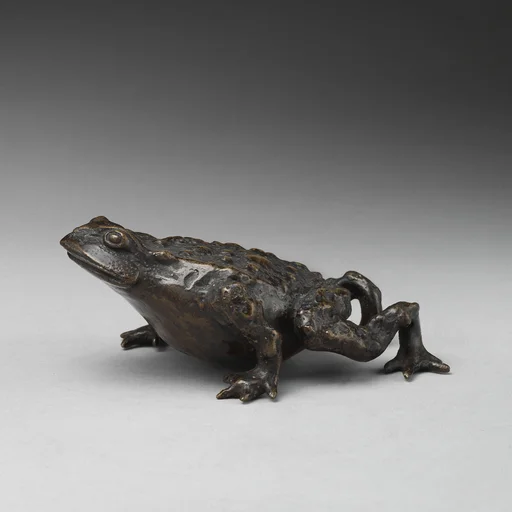 Toad