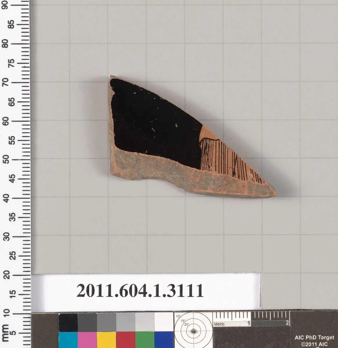 Terracotta fragment of a kylix (drinking cup) — Unknown