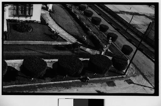 [Street with Topiaries, From Elevated Position, Havana]