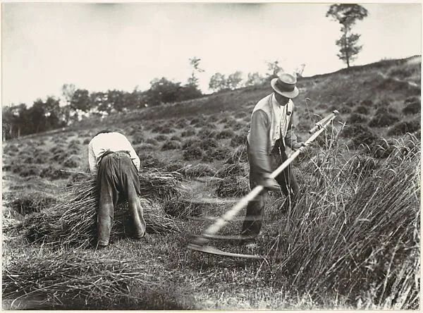 Faucheurs, Somme — Eugène Atget