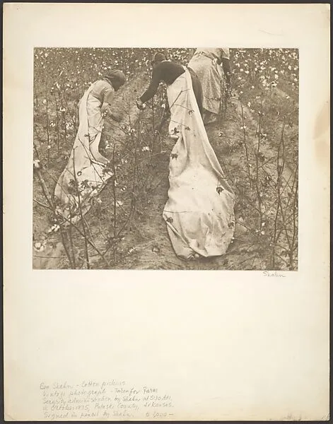 Cotton Pickers, Pulaski County, Arkansas — Ben Shahn