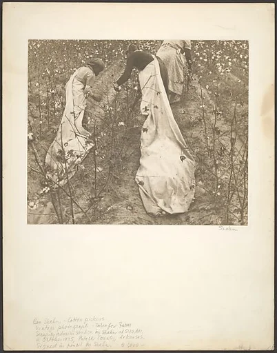 Cotton Pickers, Pulaski County, Arkansas