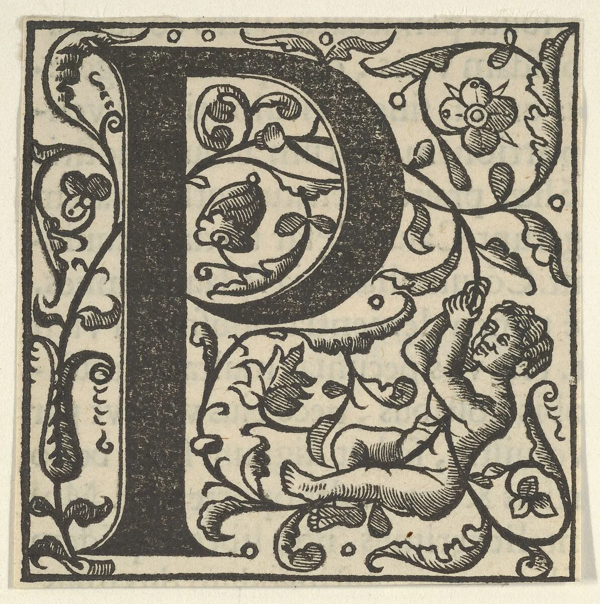 Initial letter P with putto — Unknown