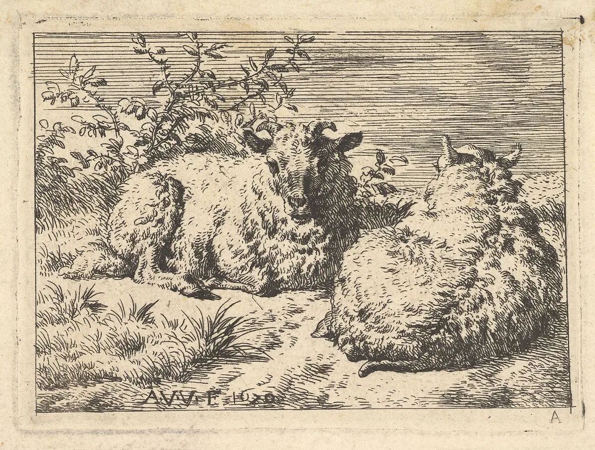 Two Recumbent Sheep — Adriaen van de Velde