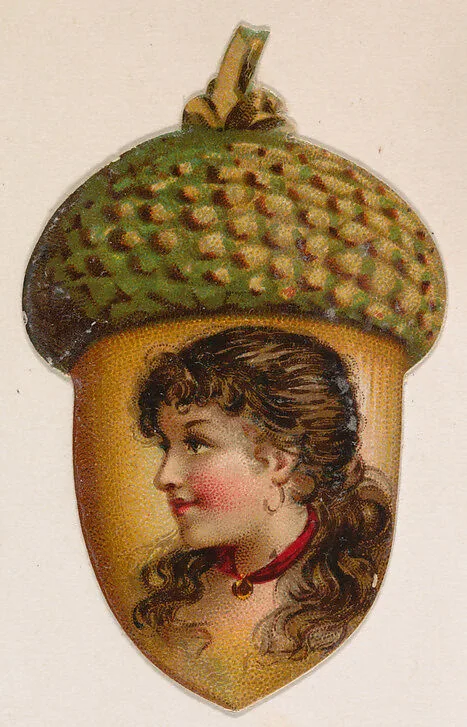 Acorn, from the Novelties series (N228, Type 3) issued by Kinney Bros. — Kinney Brothers Tobacco Company