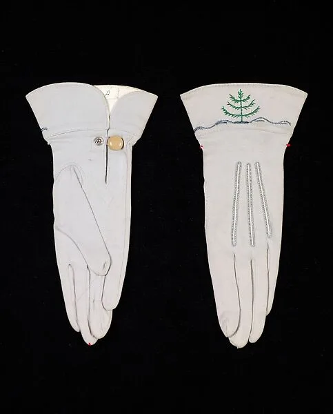 Gloves — Unknown