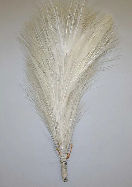 Aigrette — Unknown