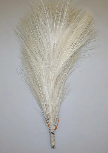Aigrette