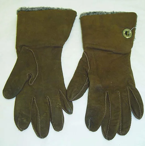 Gloves
