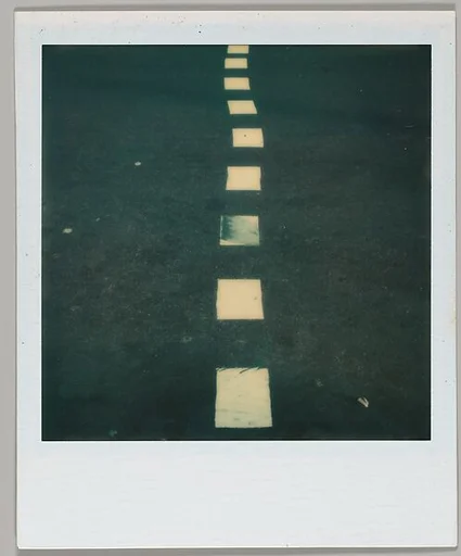 [Lane Divider]