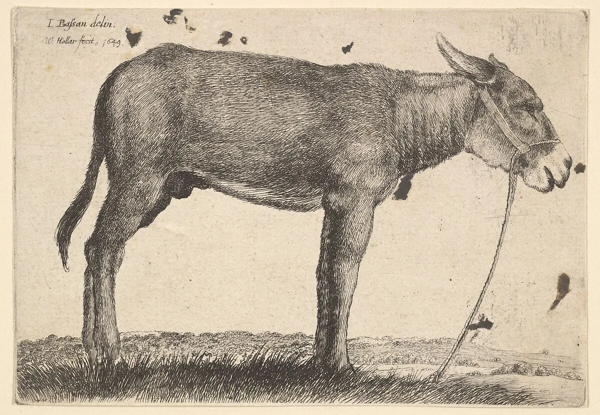 Donkey — Jacopo Bassano (Jacopo da Ponte)|Wenceslaus Hollar