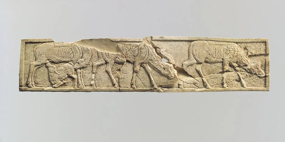 Panel — Unknown