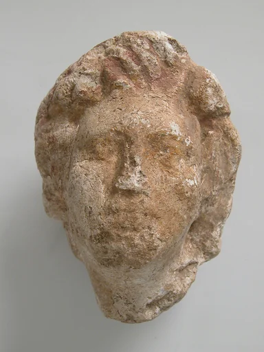 Head