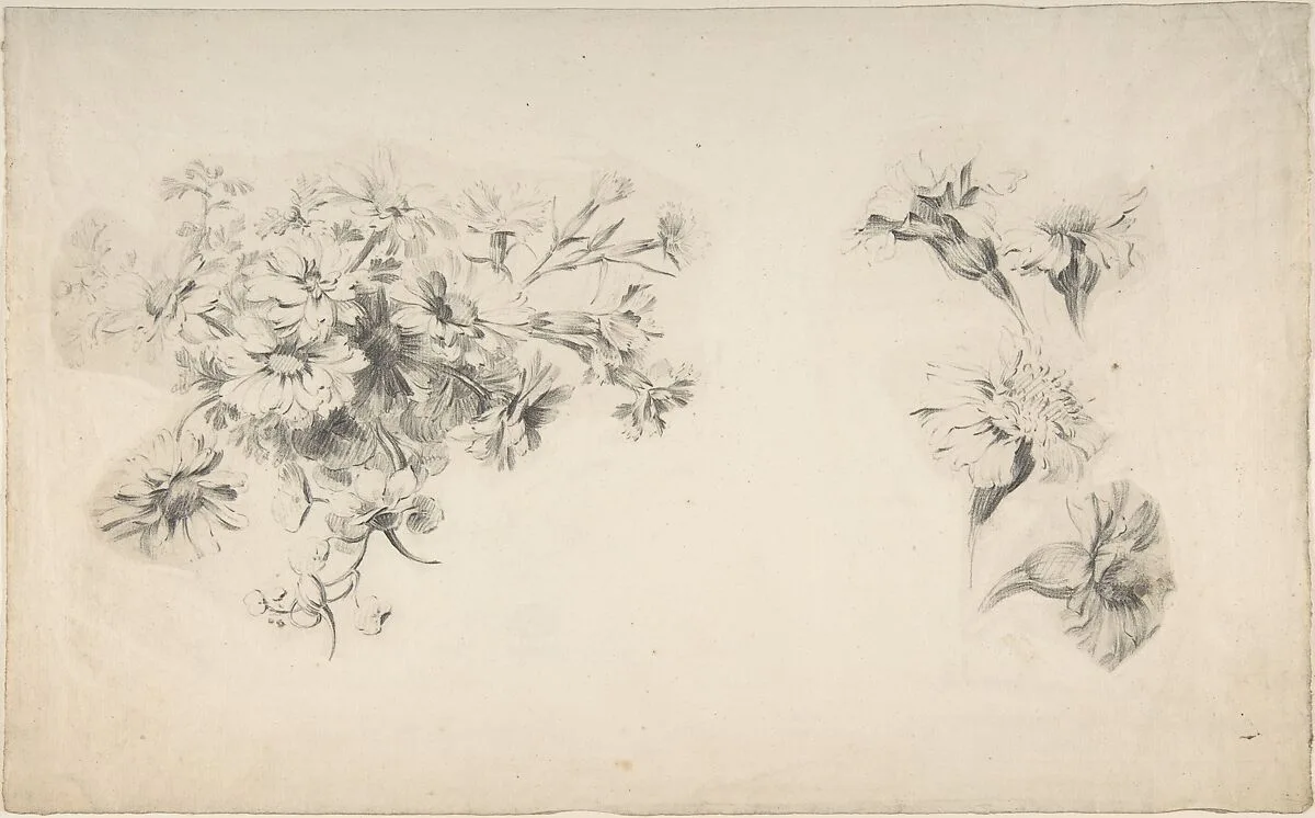 Studies of Flowers — Anonymous, French, 18th century