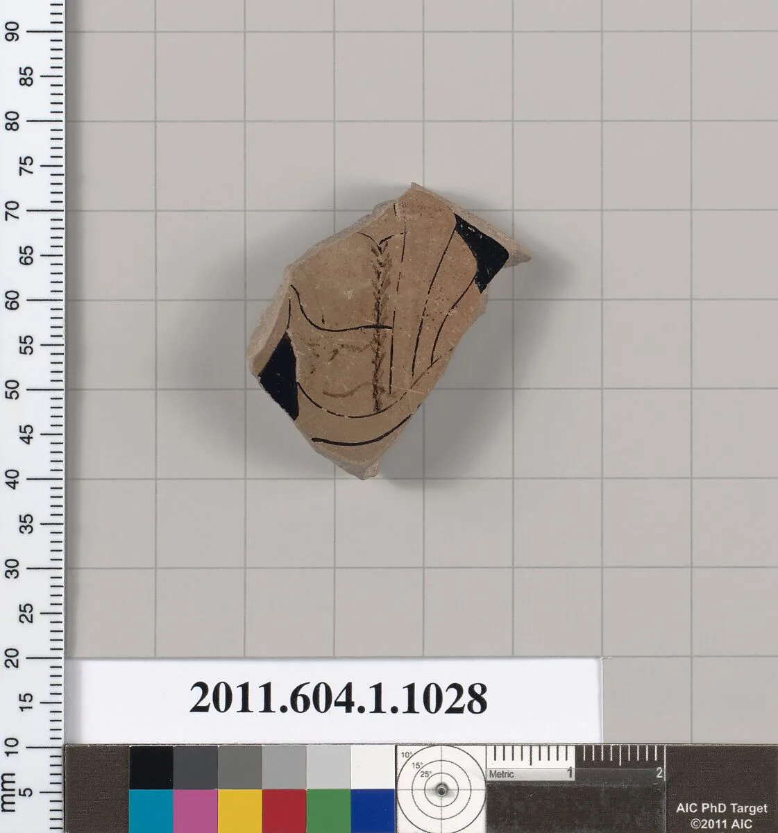 Terracotta fragment of a kylix (drinking cup) — Unknown