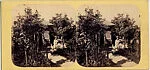 [Stereographic View of Lodge, Central Park, New York]
