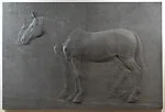 Two horses — Charles Ray