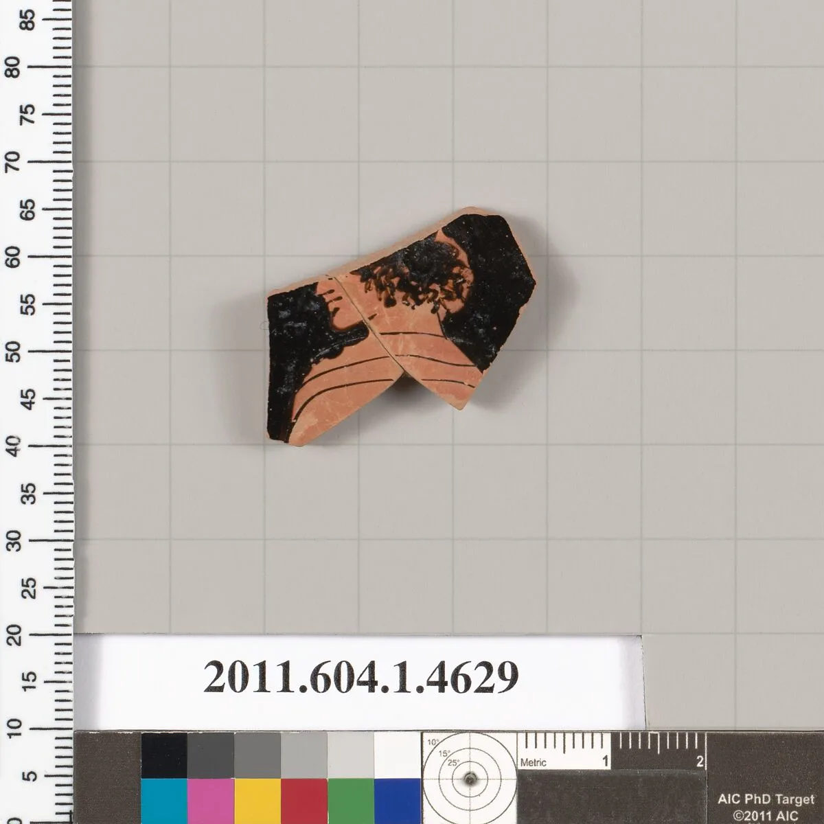 Terracotta fragment of a kylix (drinking cup) — Unknown