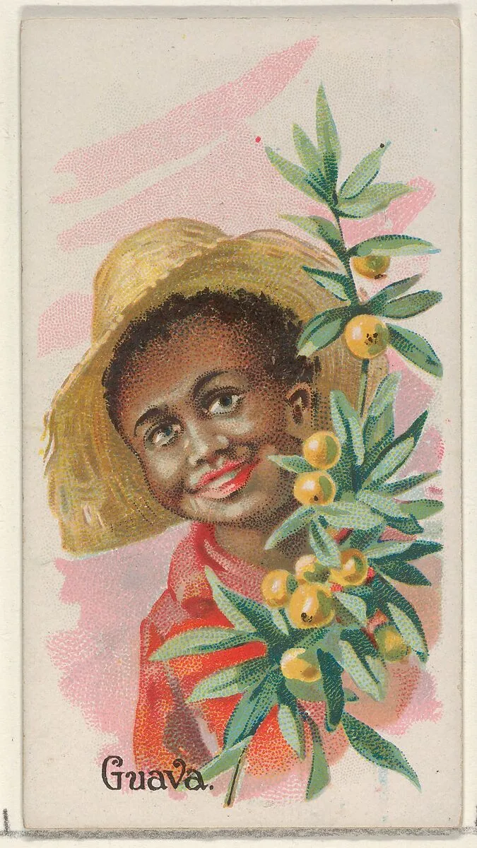 Guava, from the Fruits series (N12) for Allen & Ginter Cigarettes Brands — Allen & Ginter|George S. Harris & Sons